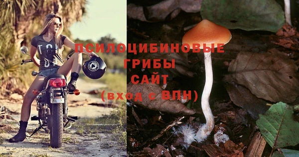 дмт Новозыбков
