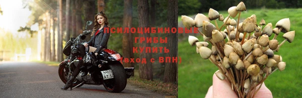 мяу мяу мука Новодвинск
