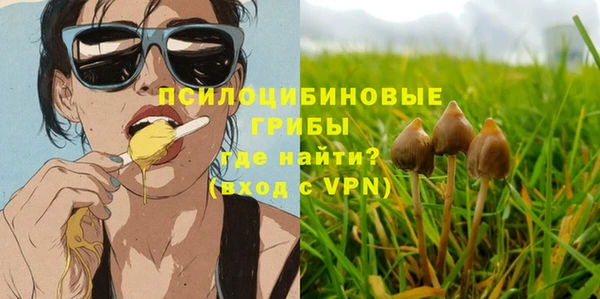 эйфоретик Новокубанск
