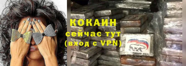 дмт Новозыбков