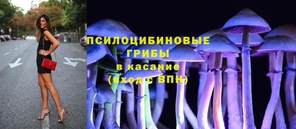 PSILOCYBIN Няндома