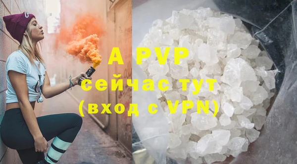 PSILOCYBIN Няндома