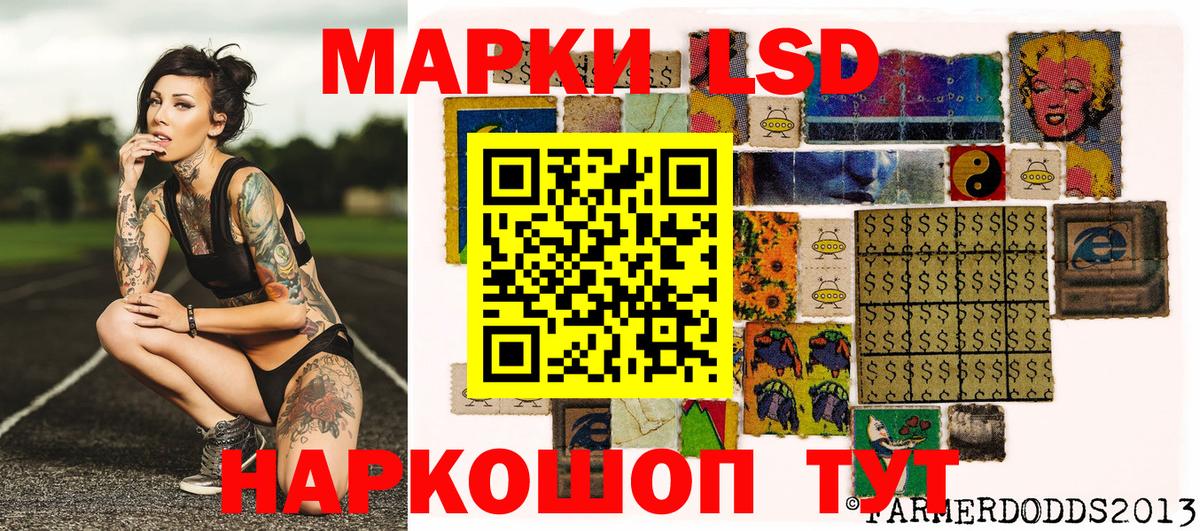 продажа наркотиков  Наркотические марки  Холмск  Вход с VPN  Марки NBOMe 1,5мг 