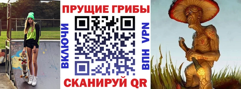 Псилоцибиновые грибы мицелий  цена наркотик  Холмск 