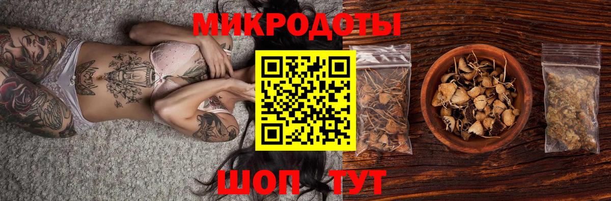 Псилоцибиновые грибы Psilocybe  Вход с VPN  Галлюциногенные грибы MAGIC MUSHROOMS  Холмск 